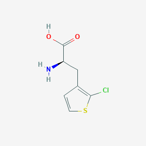 molecular formula C7H8ClNO2S B13273642 (2R)-2-Amino-3-(2-chlorothiophen-3-YL)propanoic acid 