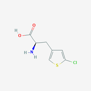 molecular formula C7H8ClNO2S B13273789 (2R)-2-Amino-3-(5-chlorothiophen-3-yl)propanoic acid 