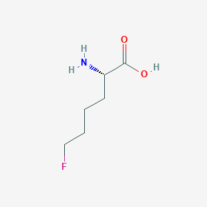 molecular formula C6H12FNO2 B13274253 6-Fluoronorleucine 