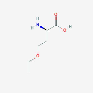 (2R)-2-Amino-4-ethoxybutanoic acid