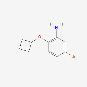 5-Bromo-2-cyclobutoxyaniline