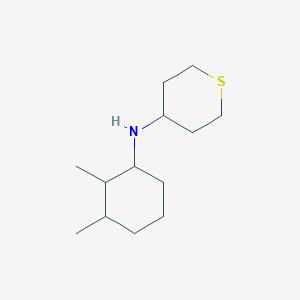 molecular formula C13H25NS B13275490 N-(2,3-dimethylcyclohexyl)thian-4-amine 