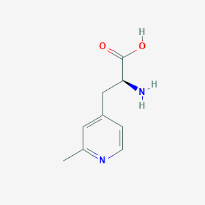 molecular formula C9H12N2O2 B13275555 (2S)-2-Amino-3-(2-methylpyridin-4-YL)propanoic acid 