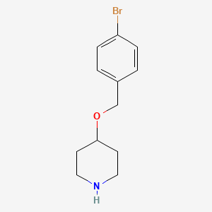 molecular formula C12H16BrNO B13275898 4-[(4-Bromophenyl)methoxy]piperidine 