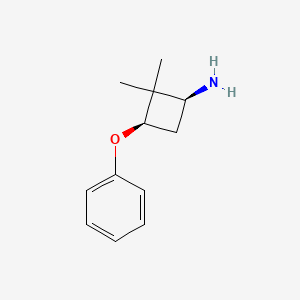 molecular formula C12H17NO B13276108 (1S,3R)-2,2-Dimethyl-3-phenoxycyclobutan-1-amine 