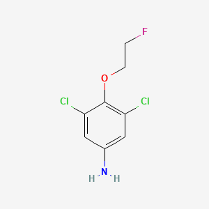 molecular formula C8H8Cl2FNO B13276561 3,5-Dichloro-4-(2-fluoroethoxy)aniline 