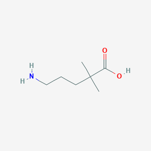 molecular formula C7H15NO2 B13277579 5-Amino-2,2-dimethylpentanoic acid 