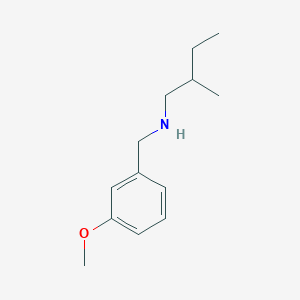 molecular formula C13H21NO B13277736 [(3-Methoxyphenyl)methyl](2-methylbutyl)amine 