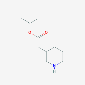 molecular formula C10H19NO2 B13280608 Piperidin-3-yl-acetic acid isopropyl ester 