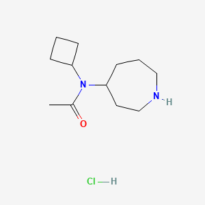 N-(Azepan-4-yl)-N-cyclobutylacetamide hydrochloride