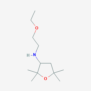 N-(2-Ethoxyethyl)-2,2,5,5-tetramethyloxolan-3-amine