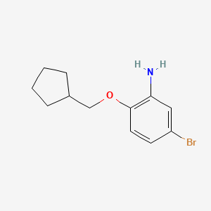 molecular formula C12H16BrNO B1328417 5-Bromo-2-(cyclopentylmethoxy)aniline CAS No. 946699-84-9