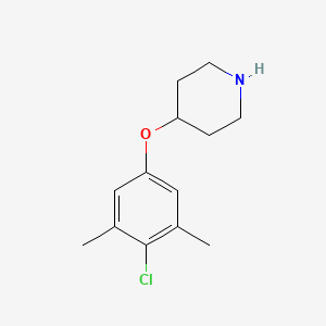 molecular formula C13H18ClNO B1328494 4-(4-Chloro-3,5-dimethylphenoxy)piperidine CAS No. 946726-36-9