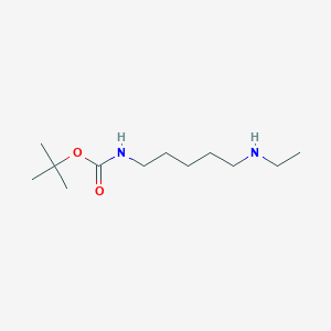 molecular formula C12H26N2O2 B1328580 叔丁基(5-(乙氨基)戊基)氨基甲酸酯 CAS No. 883555-11-1