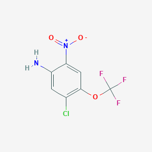 molecular formula C7H4ClF3N2O3 B1328603 5-氯-2-硝基-4-(三氟甲氧基)苯胺 CAS No. 914637-23-3