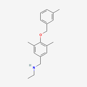 molecular formula C19H25NO B13286056 ({3,5-Dimethyl-4-[(3-methylphenyl)methoxy]phenyl}methyl)(ethyl)amine 