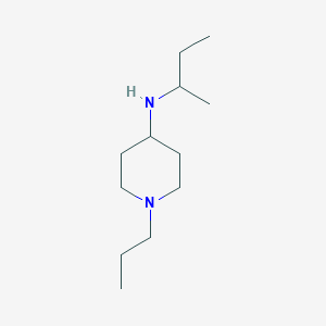 molecular formula C12H26N2 B13286856 N-(Butan-2-yl)-1-propylpiperidin-4-amine 