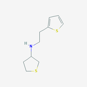 N-[2-(Thiophen-2-YL)ethyl]thiolan-3-amine