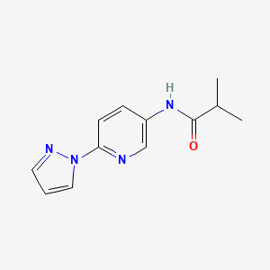 molecular formula C12H14N4O B1328856 2-Methyl-N-[6-(1H-pyrazol-1-yl)pyridin-3-yl]propanamide 