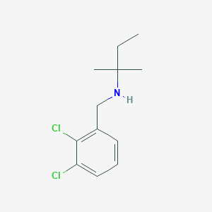 molecular formula C12H17Cl2N B13289404 [(2,3-Dichlorophenyl)methyl](2-methylbutan-2-yl)amine 