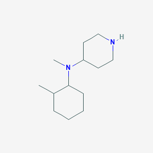 molecular formula C13H26N2 B1328957 N-甲基-N-(2-甲基环己基)哌啶-4-胺 CAS No. 1119452-90-2