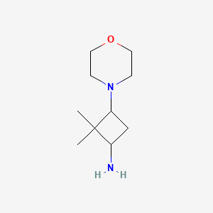 molecular formula C10H20N2O B13290187 2,2-Dimethyl-3-(morpholin-4-yl)cyclobutan-1-amine 