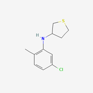 molecular formula C11H14ClNS B13290450 N-(5-chloro-2-methylphenyl)thiolan-3-amine 