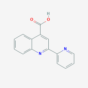 molecular formula C15H10N2O2 B1329452 2-Pyridin-2-yl-quinoline-4-carboxylic acid CAS No. 7491-86-3