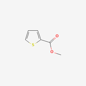 molecular formula C6H6O2S B1329517 2-甲硫基苯甲酸甲酯 CAS No. 5380-42-7