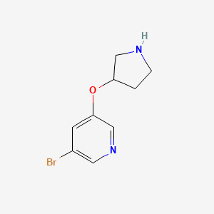 molecular formula C9H11BrN2O B13296301 3-Bromo-5-(pyrrolidin-3-yloxy)pyridine 