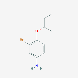 molecular formula C10H14BrNO B13296600 3-Bromo-4-(butan-2-yloxy)aniline 