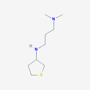 molecular formula C9H20N2S B13296925 Dimethyl({3-[(thiolan-3-yl)amino]propyl})amine 