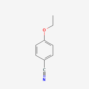 molecular formula C9H9NO B1329842 4-乙氧基苯甲腈 CAS No. 25117-74-2
