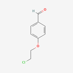 molecular formula C9H9ClO2 B1329871 4-(2-Chloroethoxy)benzaldehyde CAS No. 54373-15-8