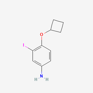 molecular formula C10H12INO B13299966 4-Cyclobutoxy-3-iodoaniline 