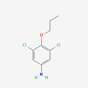 molecular formula C9H11Cl2NO B13300084 3,5-Dichloro-4-propoxyaniline 