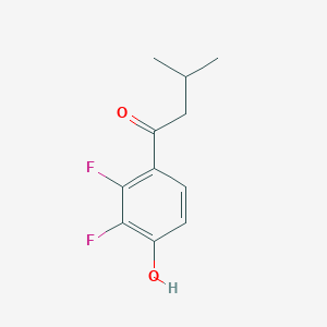 molecular formula C11H12F2O2 B13301872 1-(2,3-Difluoro-4-hydroxyphenyl)-3-methylbutan-1-one 