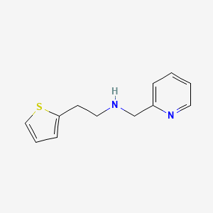 molecular formula C12H14N2S B13302456 (Pyridin-2-ylmethyl)[2-(thiophen-2-YL)ethyl]amine 