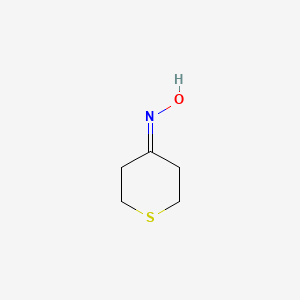 molecular formula C5H9NOS B1330277 四氢噻吩-4-酮肟 CAS No. 6309-59-7