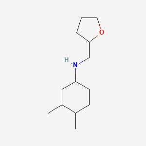 molecular formula C13H25NO B13302845 3,4-dimethyl-N-(oxolan-2-ylmethyl)cyclohexan-1-amine 