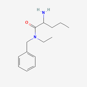 molecular formula C14H22N2O B13303150 2-amino-N-benzyl-N-ethylpentanamide 