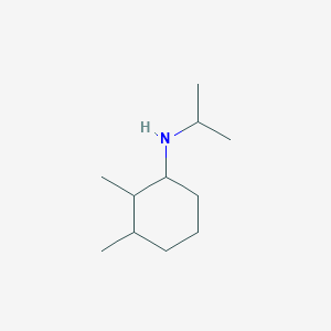 molecular formula C11H23N B13303719 2,3-dimethyl-N-(propan-2-yl)cyclohexan-1-amine 