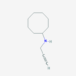 molecular formula C11H19N B13304069 N-(prop-2-yn-1-yl)cyclooctanamine 