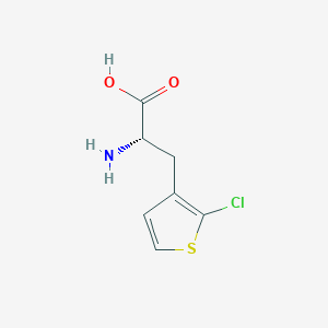 molecular formula C7H8ClNO2S B13304403 (2S)-2-Amino-3-(2-chlorothiophen-3-YL)propanoic acid 