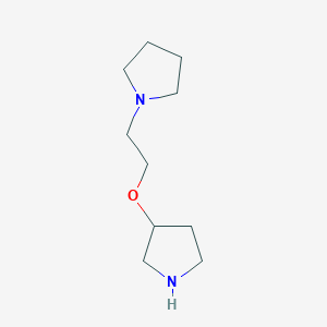 molecular formula C10H20N2O B13304479 1-(2-Pyrrolidin-3-yloxyethyl)pyrrolidine 