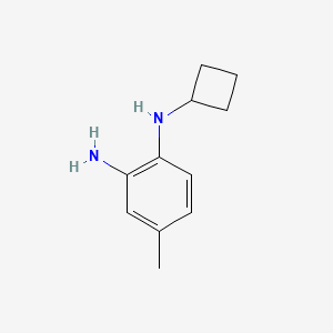 molecular formula C11H16N2 B13304604 n1-Cyclobutyl-4-methylbenzene-1,2-diamine 