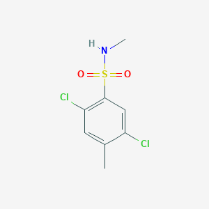 molecular formula C8H9Cl2NO2S B13304978 2,5-Dichloro-N,4-dimethylbenzene-1-sulfonamide 