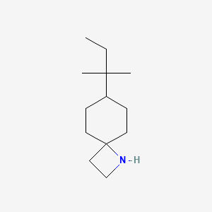 molecular formula C13H25N B13306115 7-(2-Methylbutan-2-yl)-1-azaspiro[3.5]nonane 