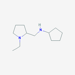 molecular formula C12H24N2 B13306267 N-[(1-ethylpyrrolidin-2-yl)methyl]cyclopentanamine 