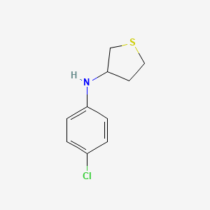 molecular formula C10H12ClNS B13306685 N-(4-chlorophenyl)thiolan-3-amine 